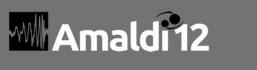 Amaldi12