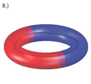 Figure 1b